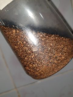 عکسی از دستور پودر لیمو خشک