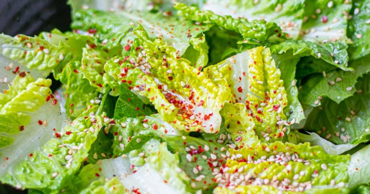 Lettuce Chips Recipe By Yui Miles Cookpad   Photo 