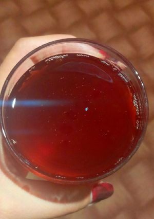عکسی از دستور به لیمو جاااانم😍😋😍