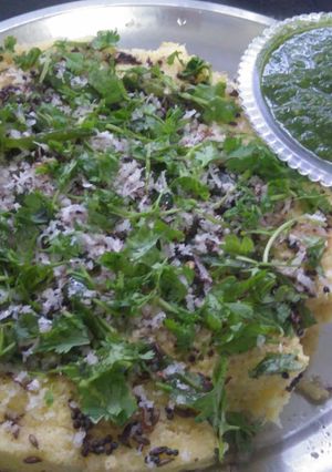 A picture of Khaman dhokla.