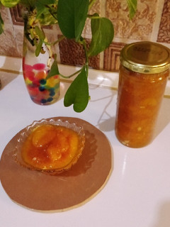 عکسی از دستور مربا زردآلو