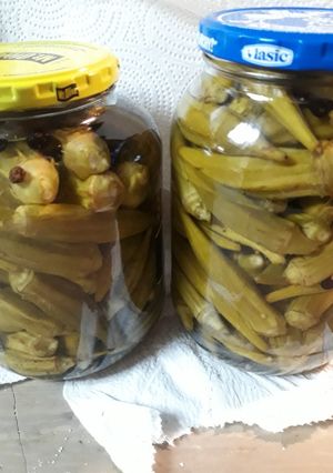 A picture of Pickled Okra II and III.