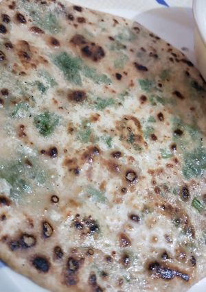 A picture of Palak Parantha.