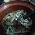 Charales fritos con ralladura de limón y tequila, México