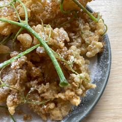 A picture of GF Elderflower fritters.