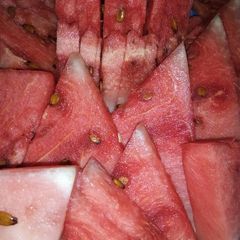 A picture of Presh water melon.