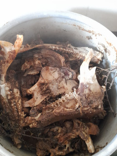 صورة لوصفة رأس 🐑 خروف