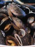 Steamed Mussels