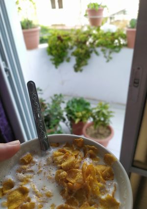 صورة لوصفة كورن فليكس الصباح