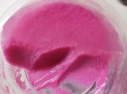 Una foto de gelatina de yogurt y cerezas
