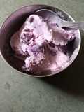 Fresh Jamun Icecream