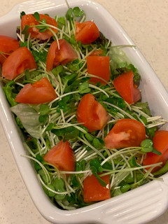 Foto resep Salad Microgreen Lobak & Tomat 🥗