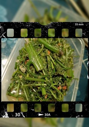 Foto resep Tumis pakis