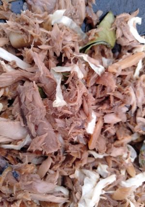 Foto resep Oseng pindang tongkol suwir