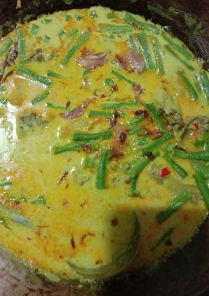Foto resep Ayam Kuah santan