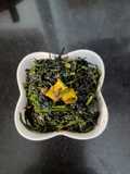 बथुआ के साग Bathua ke saag