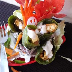 A picture of Paneer cheese spring roll with mayonnaise.