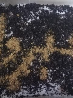 صورة لوصفة حلوى النسكافيه