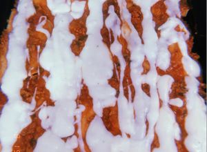 Una foto de Canelones de espinaca, carne picada y paté (podes hacerlo sin el paté)