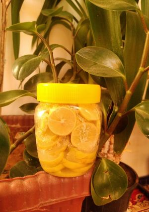 عکسی از دستور لیمو شکری 🍋🍹