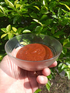 Una foto de Salsa barbacoa casera (BBQ)