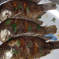 A picture of Deep fried fish.