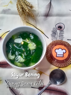 Foto resep #277 Sayur Bening Oyong Daun Katu (MP-ASI 1 tahun)