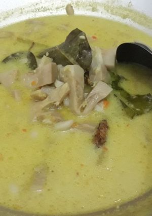 Foto resep Lodeh Nangka (jangan gori)