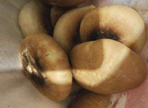 Una foto de Pan Amasado 2 kilos en horno barro