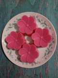 879) Puding Frambozen Santan