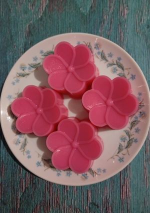 Foto resep 879) Puding Frambozen Santan