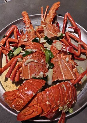 A picture of Steam Lobster.