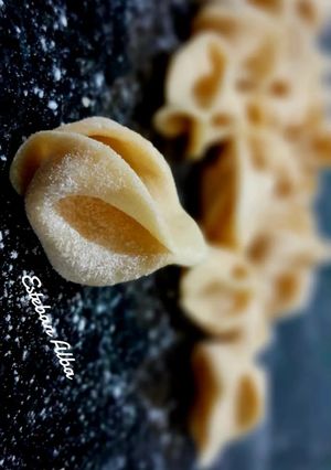 Una foto de Pasta Sorpresini