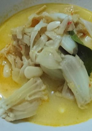 Foto resep Gulai nangka muda