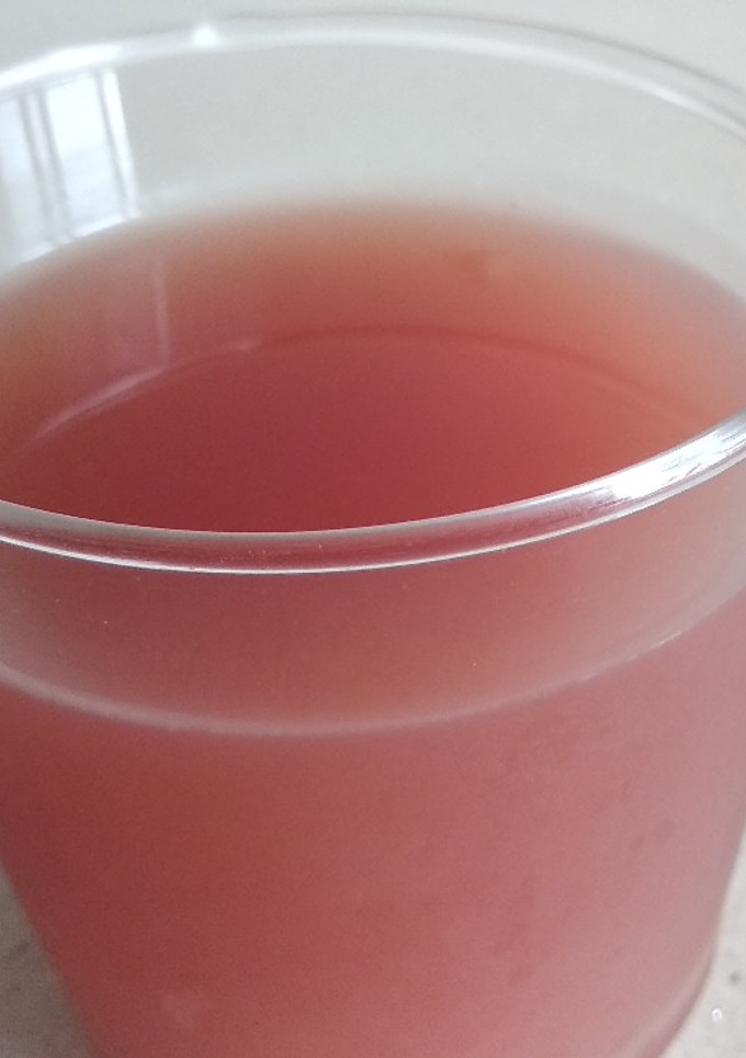 Una foto de Sangría casera sin alcohol