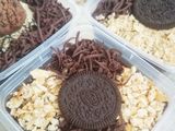 Dessert cup - brownies lumer