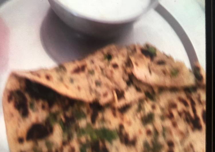 Recipe of Favorite Palak Paratha with curd