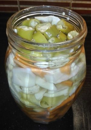 A picture of Pickles.
