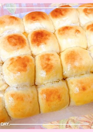 中種*麥香蜂蜜小餐包* 的食譜成品照片