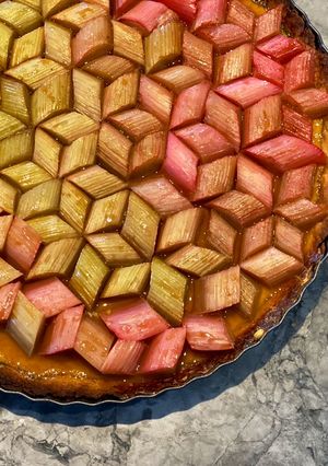 A picture of Geometric rhubarb tart with vanilla custard and shortbread crust.