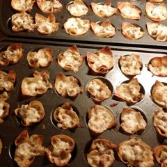 A picture of Sausage Wontons.