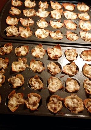 A picture of Sausage Wontons.