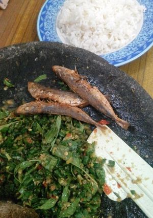 Foto resep Gecok Kacang Panjang Kemangi
