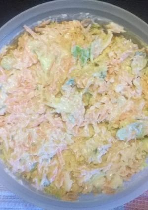 A picture of Shredded carrots cabbage with plain yoghurt.