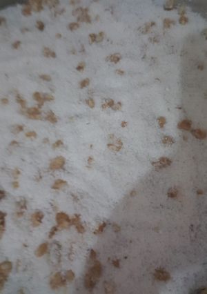 صورة لوصفة طريقه عمل حشوه للقطايف ب جوز الهند