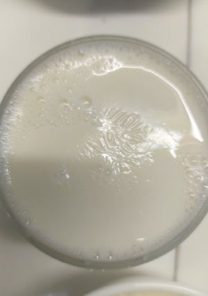 A picture of Soya bean milk.