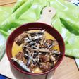 Lodeh Tempe Teri