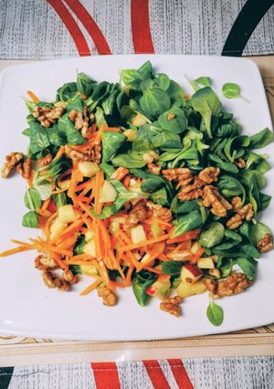 Salat aus Möhre Frühlingszwiebel und Feldsalat Rezepthauptbild