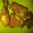 AyAm GOreng bUmBU Kuning