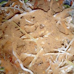 A picture of Salad.